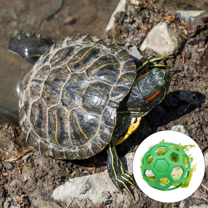 2Pcs Hanging Tortoise Treat Ball Vegetable Dispenser Hay Feeder Feeding Grass Ball for Tortoise Rabbit Guinea Pig Accessories