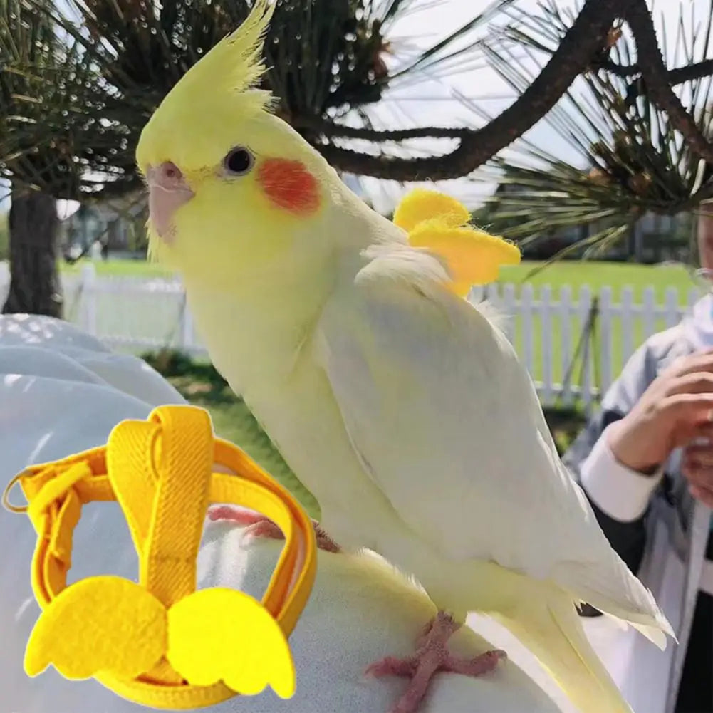 ロングケーブル 鳥用ハーネス リーシュ 噛みつき防止 トレーニングロープ 装飾 軽量 インコ オウム ベスト ロープ オカメインコ 小鳥用