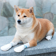 20個裝寵物狗一次性鞋套防塵腳套遛狗襪子防水防滑鞋不織布