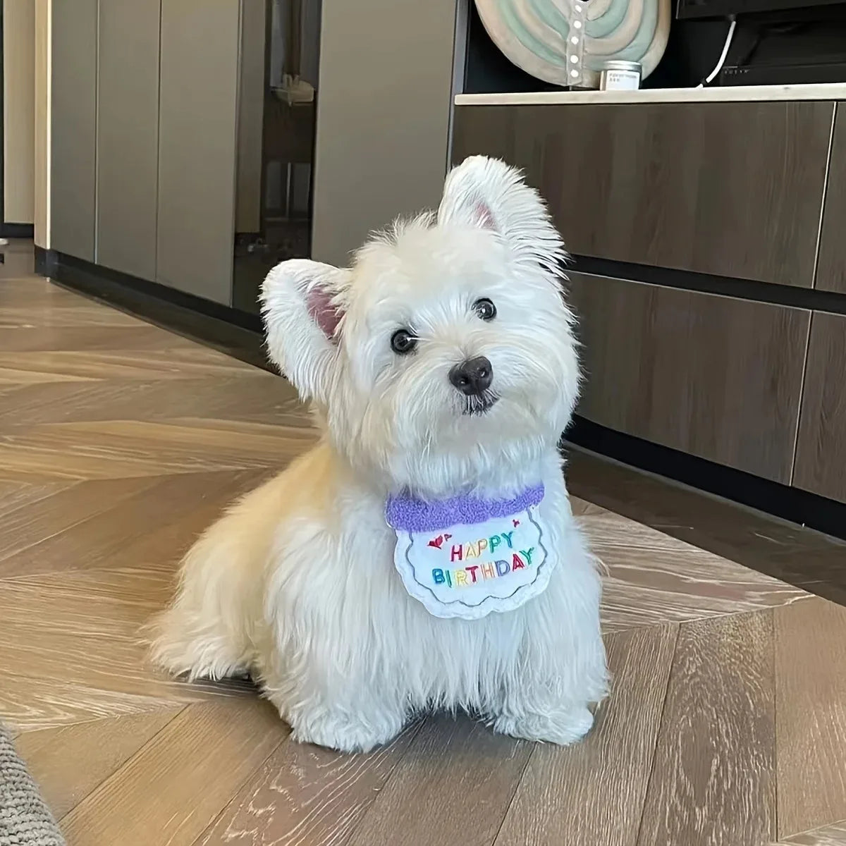 Make Your Pet's Birthday Special with this Adorable Dog Birthday Hat & Bandana Set!