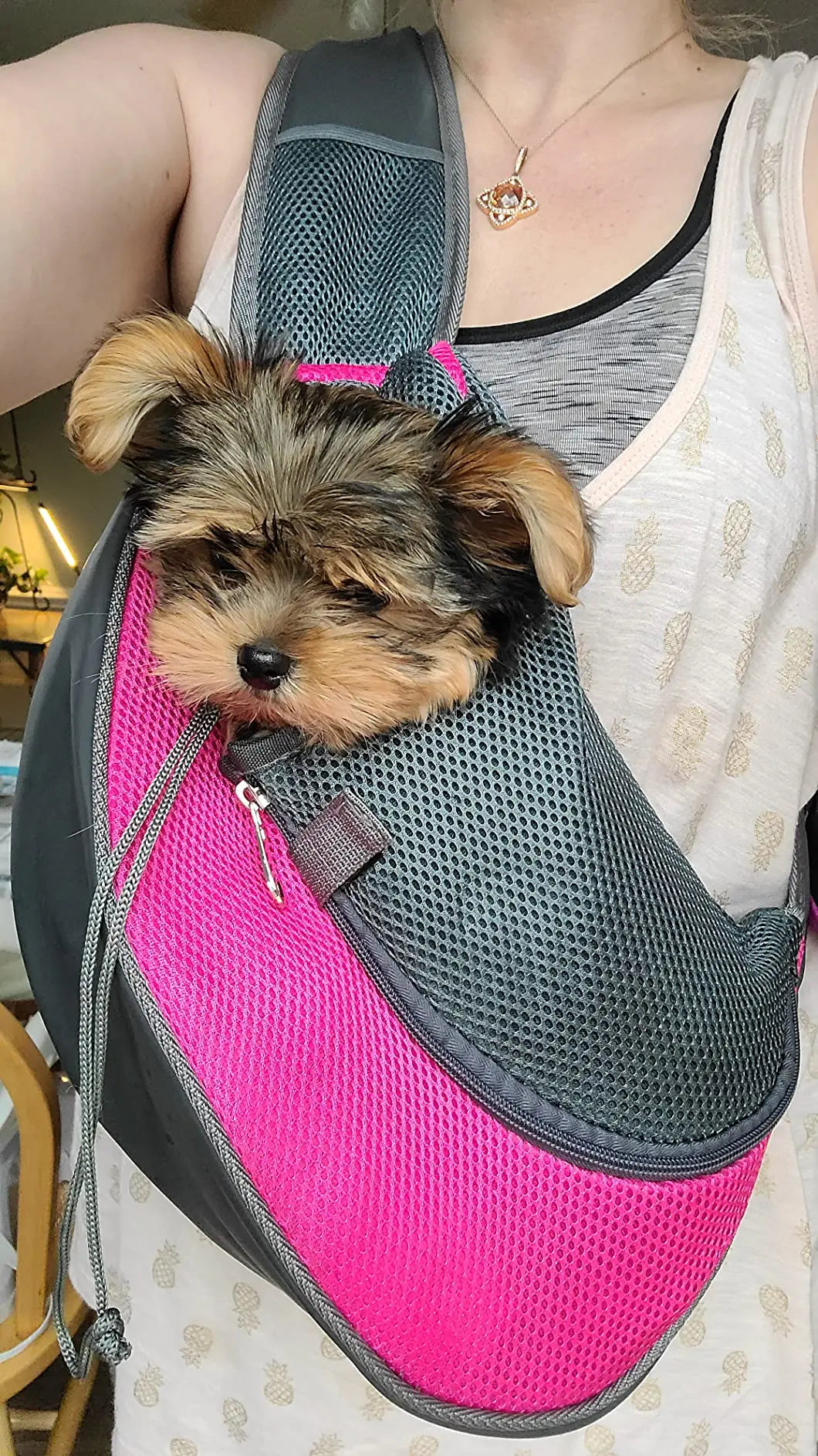 Pet Puppy Carrier for Outing Travel Mesh Breathable Shoulder Bag Large Space Pet Front Bag Suitable for Walking Cat Carrier Bag