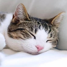 Poursweet 犬用舐めマット 吸​​盤付き スローフィーダー ペットの不安解消 猫の食事、ヨーグルト、ピーナッツバターのトレーニングに