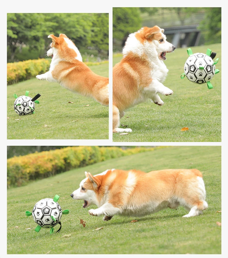 Kimpets Dog Interactive Football Toys Children Soccer Dog Outdoor Training Balls Dog Sporty Bite Chew Teething Ball Pet Supplies