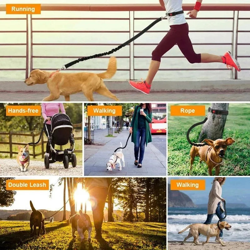 Hands Free Dog Leash Elastic Dog Running Belt Pet Bungee Rope Leashes Reflective Jop Dogs Training For Medium Large Dog Supplies