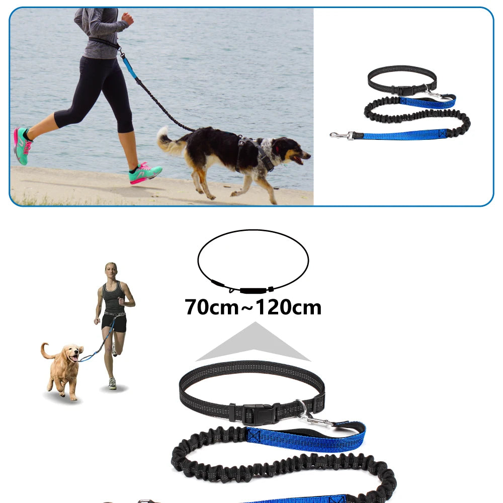 Dog Leash Hands Free Retractable Traction Rope Pet Walking Running Adjustable Waist Belt Elastic Reflective leash Pet Supplies