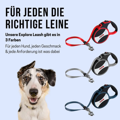 Kong Explore Retractable Dog Leash, Large,24' Long, 7.5m ,110lbs/50kg