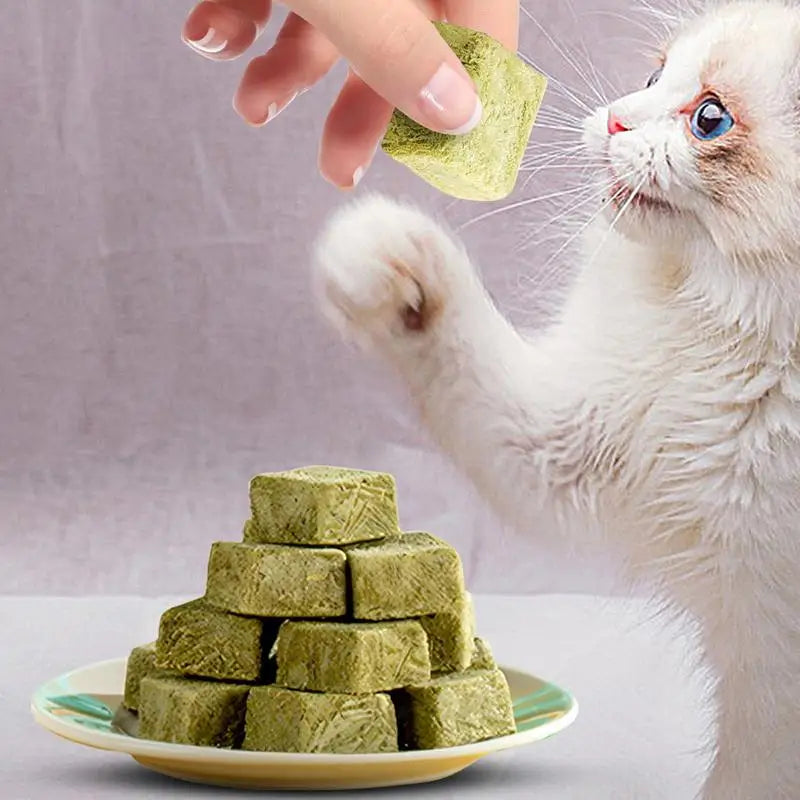 60g Cat Teeth Edible Catnip Toy Cat Grass Snack Natural Freeze Dried Pet Teething Molars Stick Natural Grass Snack for Cat