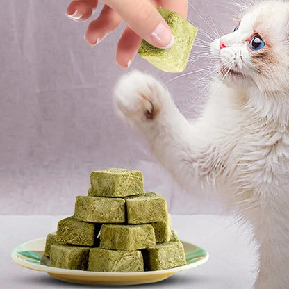 60g Cat Teeth Edible Catnip Toy Cat Grass Snack Natural Freeze Dried Pet Teething Molars Stick Natural Grass Snack for Cat