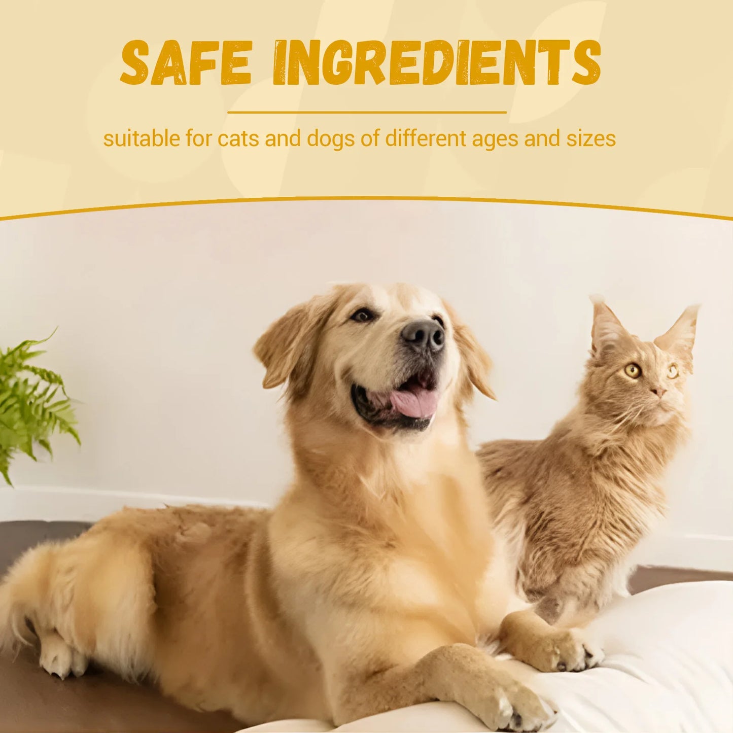 Yegbong Pet Kidney Drops Kidney Stone Removal Urinary Tract Care Maintain Urinary System Anti Inflammation Dog Health Supplement