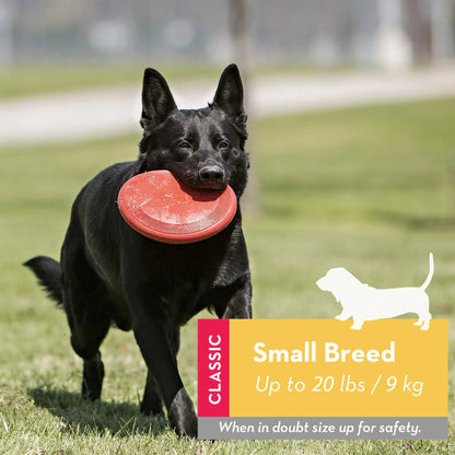 KONG - Flyer - Durable Rubber Flying Disc Dog Toy