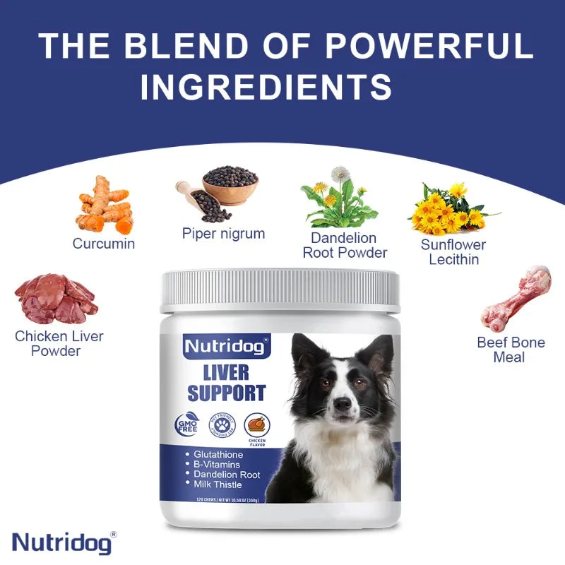 Liver Support Chews for Dogs With Milk Thistle & Curcumin - Liver Detox, Kidney & Hepatic Support -Chicken Flavor 120 Soft Chews