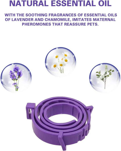 Pet Calming Collar for Cats & Dogs – Lavender & Chamomile
