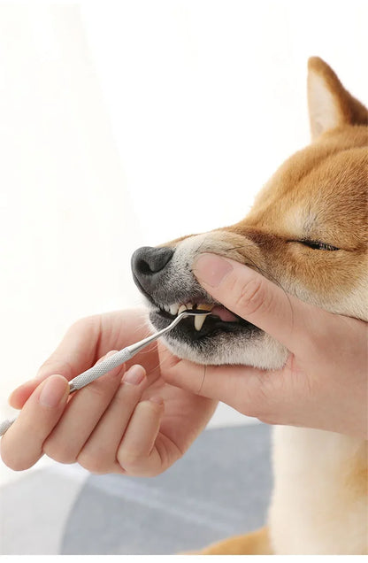 Pet Dog Toothbrush Stainless Steel Double Head Tooth Cleaning Tool Brush Bad Breath Tartar Teeth Care For Dog Cat Supplies