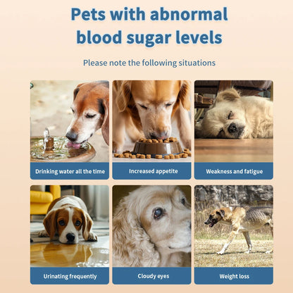 Schpet Household Pet Blood Glucose Meter Fast Test Machine with 50 Strips for Dog Cat Portable Pet Blood Glucose Monitoring