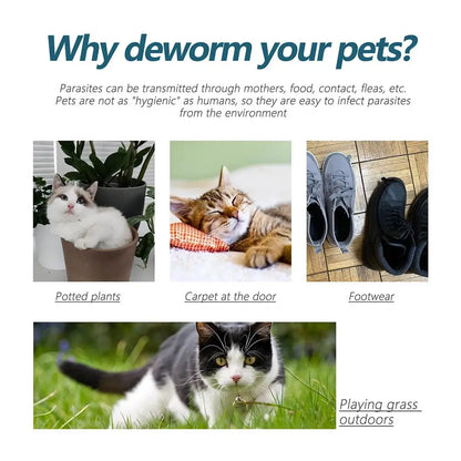 Pet Flea Killer Drops Anti Fleas Cats Ticks Lice Mite Ringworm Removal Itching Dogs Treatment Pet Removal Insect Relieve Dr G4B2