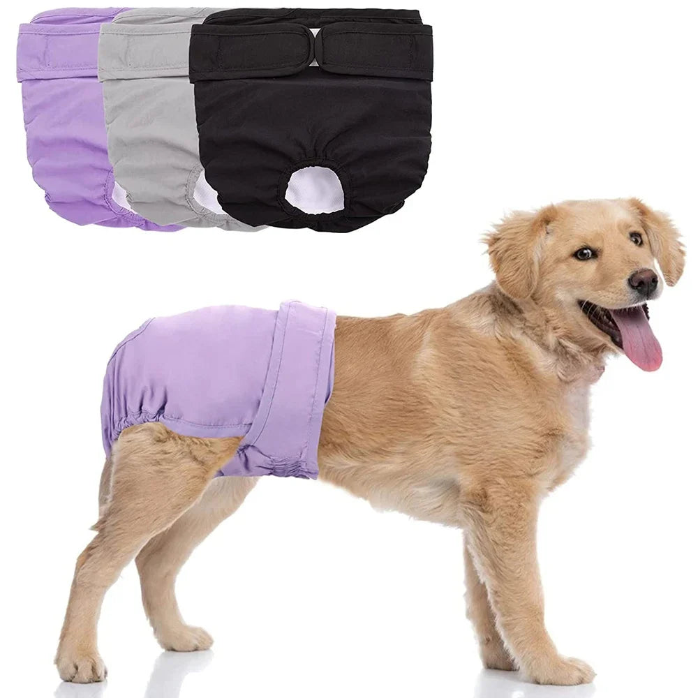 Reusable Female Dog Diapers – Washable, Absorbent & Leakproof