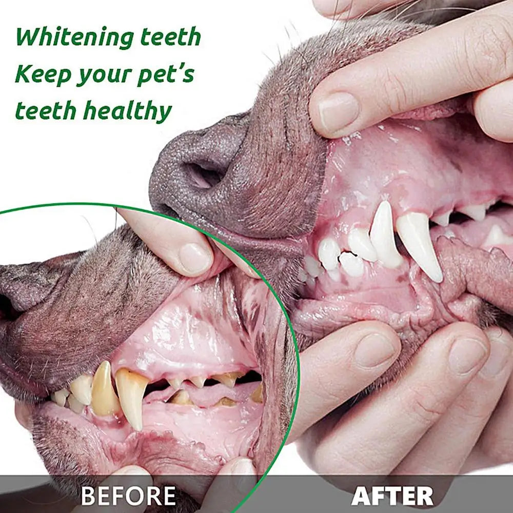 Food grade canine tooth cleaning powder, advanced care 100g formula, small and medium-sized canine tooth powder