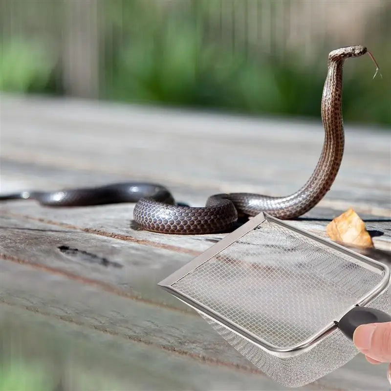 Poop Shovel Reptile Terrarium Litter Scoop Sand Stainless Steel Reptiles Box Sand Shovel Tortoise Residue Excrement Shovels