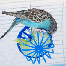 1件裝鳥鸚鵡餵食器籠水果蔬菜架籠子接入吊籃容器玩具寵物鸚鵡餵食器籠子用品