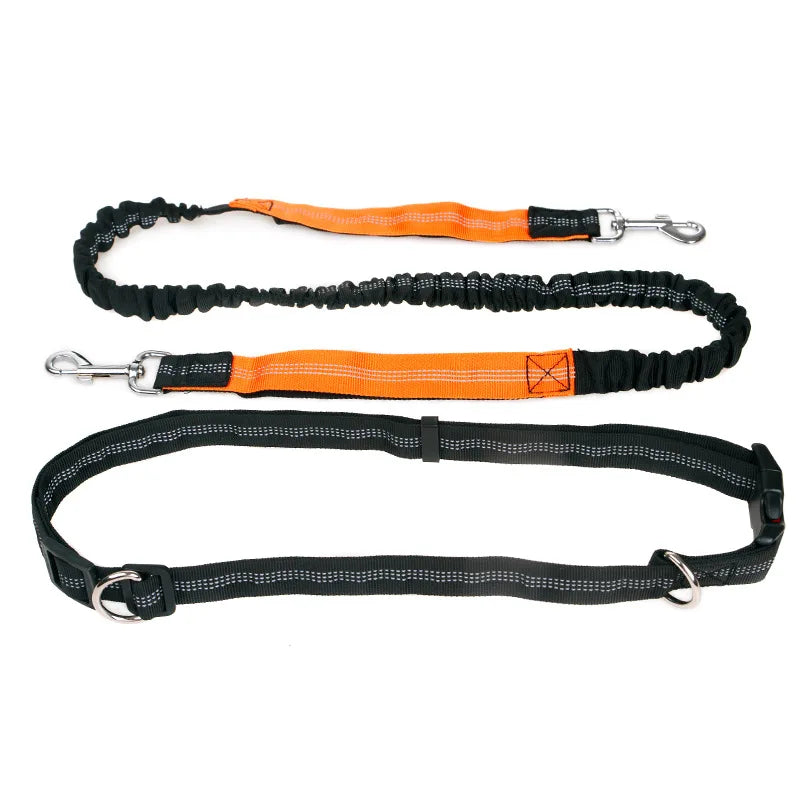 Dog Leash Hands Free Retractable Traction Rope Pet Walking Running Adjustable Waist Belt Elastic Reflective leash Pet Supplies