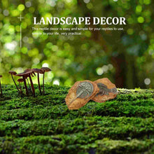 2 件仿樹脂化石壁虎爬蟲類裝飾玻璃容器適用於居家裝飾魚缸配件爬行景觀