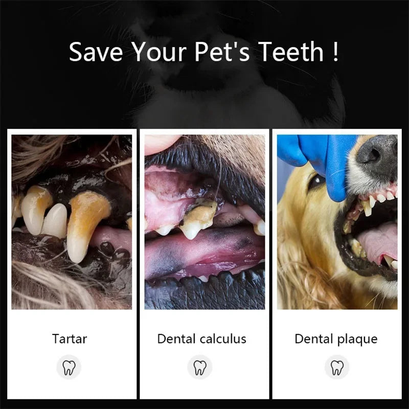 Pet Dog Toothbrush Stainless Steel Double Head Tooth Cleaning Tool Brush Bad Breath Tartar Teeth Care For Dog Cat Supplies