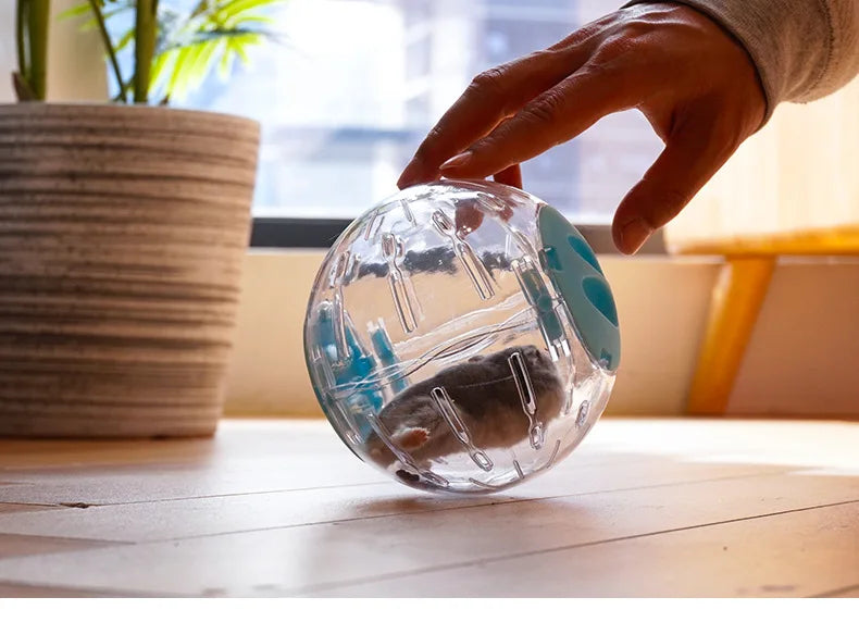 プラスチック製アウトドアスポーツボールグラウンダーラット小動物マウスジョギングボールおもちゃハムスタージャービルエクササイズボールプレイおもちゃ小動物用品
