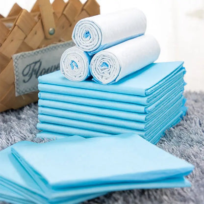 Dog Training Pee Pads – 20–100pcs Absorbent Pet Diapers