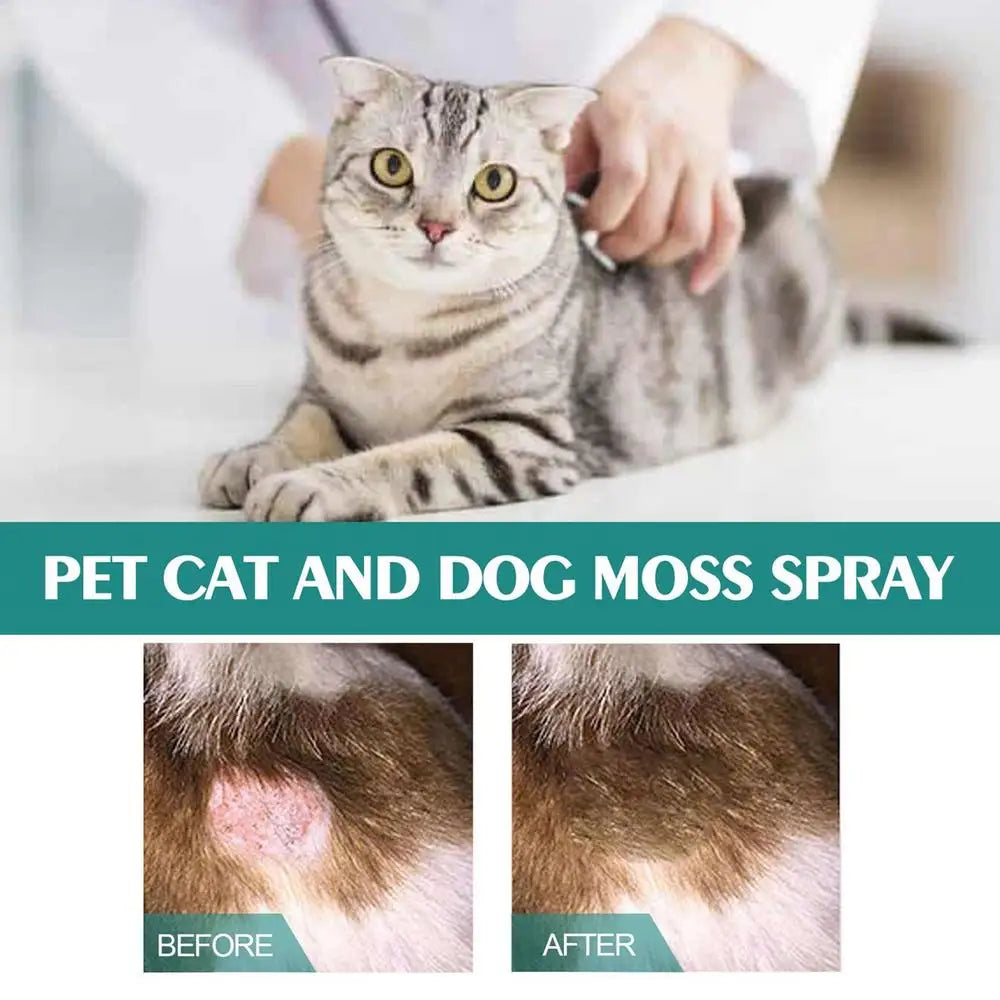 Pet Skin Care Spray 30ml Dogs and Cats Skin Problems Moss Spray Pet Cleaning Care Anti-Itch Spray Dog Cat Healthy Care Supplies