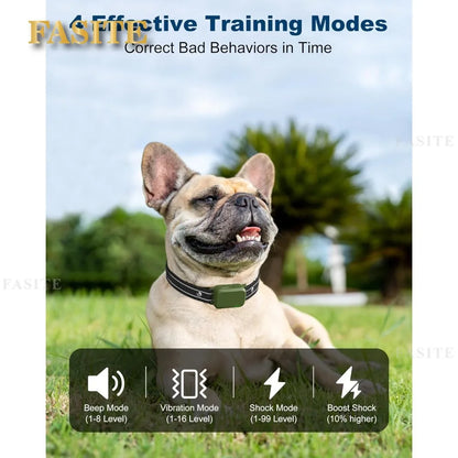 Dog Shock Collar with Remote, 3300FT Range, Waterproof