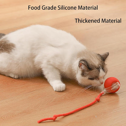 Automatic 360° Rotating Cat Rolling Ball - 2025 Upgrades