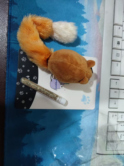 貓用品貓玩具