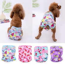 Reusable Dog Diaper Pants – Cute & Absorbent for Female Pets