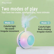 Pet Electric Toy Ball Feather Teaser Cat Stick