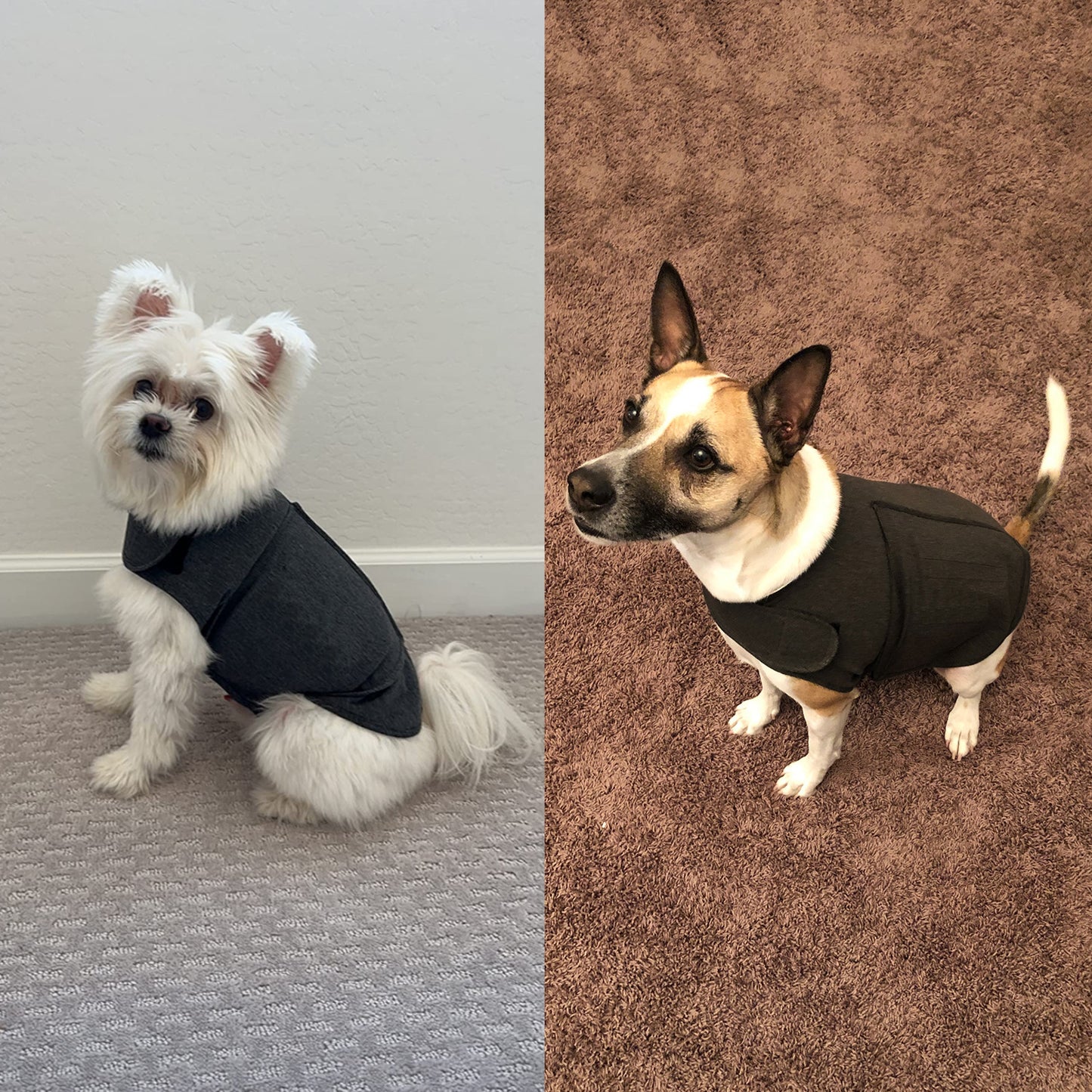 おしゃれな犬服 暖かいベスト