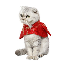 Cloak Wind Cloak Chinese Clothes New Year Kitten Red Envelope Small Warm Pet
