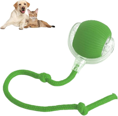 Automatic 360° Rotating Cat Rolling Ball - 2025 Upgrades