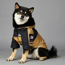 狗狗大型犬雨衣寵物夾克
