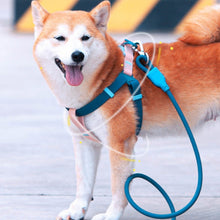 Dog Outing Hand Holding Rope PVC Waterproof Chest And Back Collar Stain Resistant