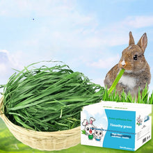 提摩西乾草整箱裝零食飼料龍貓豚鼠糧兔寵物用品