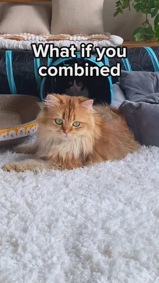 1.mp4